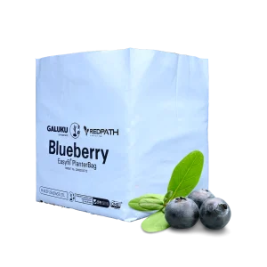 Blueberry EasyFil Planter Bags 27L, 0.85kg, 29x29x33cm, 30 Chip / 70 Pith (7 per box)
