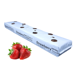 Strawberry Grow Bags 16L, 1.8kg, 100x20x8cm, 20 Chip / 80 Pith (7 per box)