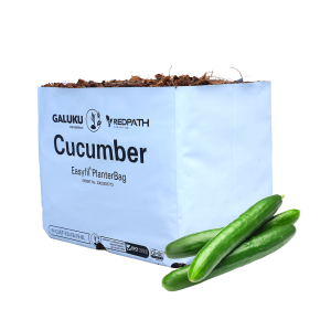 Cucumber EasyFil Planter Bags 8L, 0.65kg, 23x18x18cm, 30 Chip / 70 Pith (36 per box)