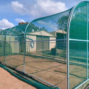Netted domestic greenhouse with domestic buildings in the background, on rural earth