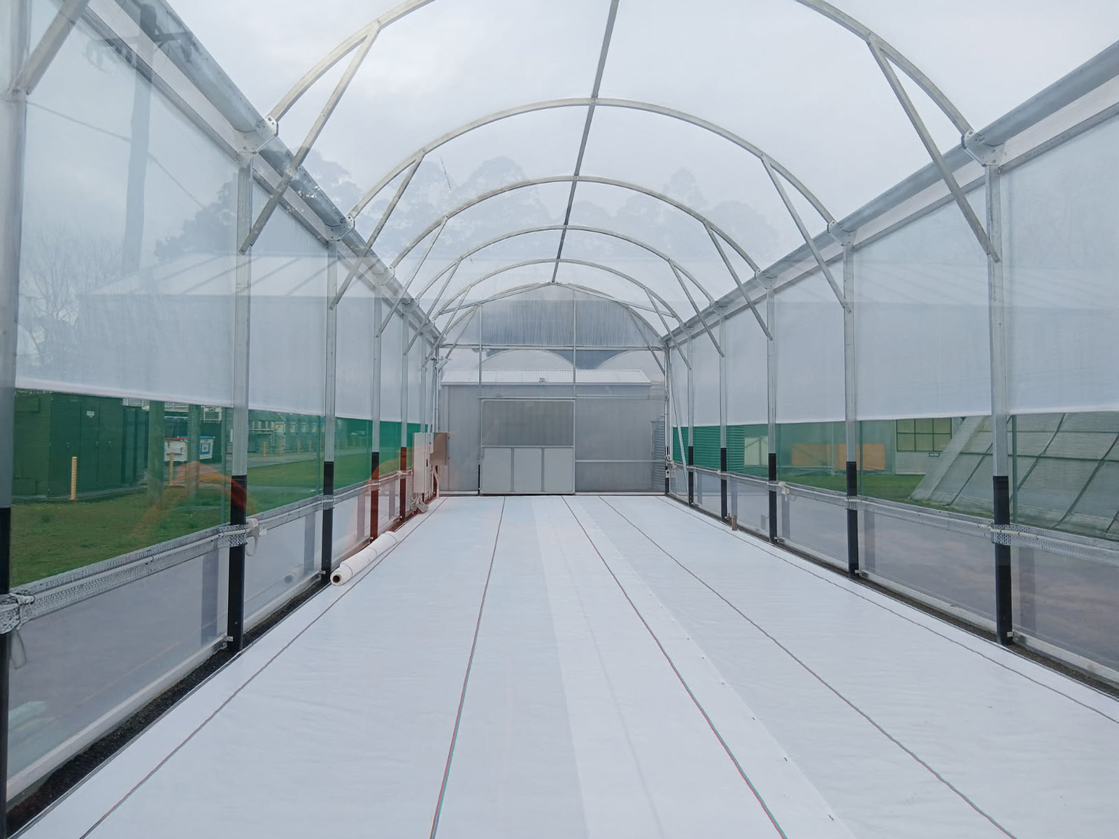 Shot from inside an empty arch greenhouse
