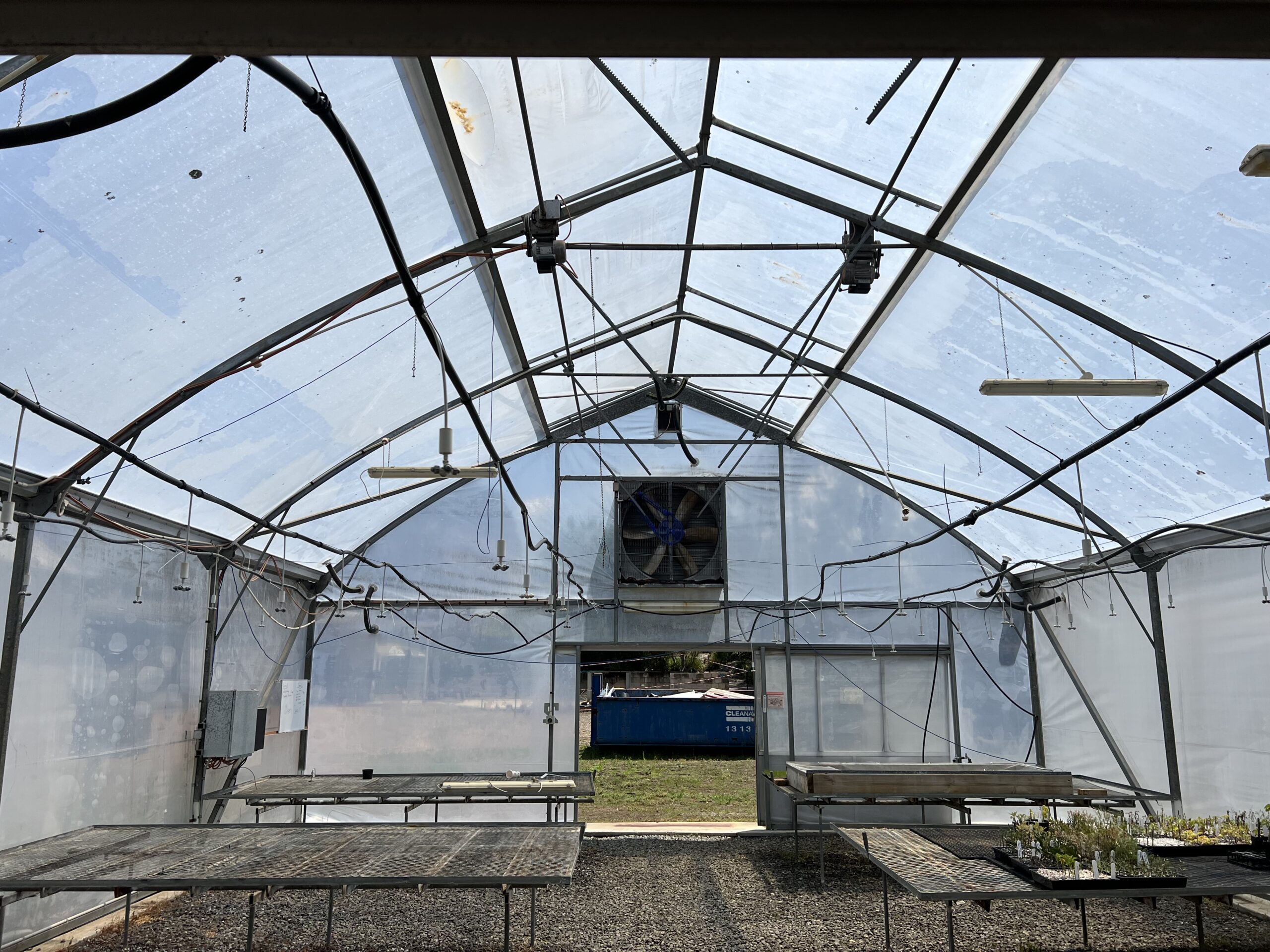 Interior of greenhouse structure - lights, fans and other mechanisms - benches on ground