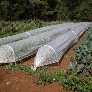 Cloche Systems