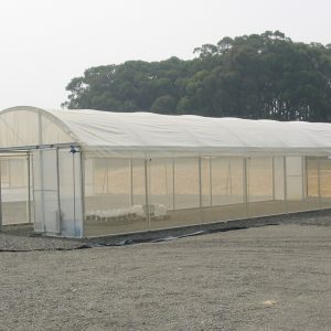 ASTER Plus 200