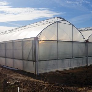 Hortiplus® Film