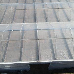 Clear Film
