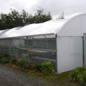 9.2m Wide Durashade® 210um "Light" Shaded White Greenhouse Film