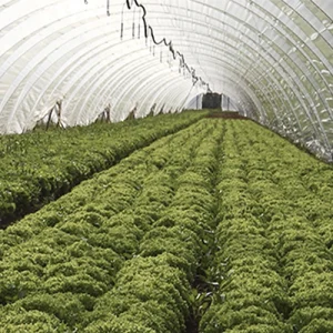 14.0m Wide ASTER + 200um Greenhouse Film 55% DIF Anti-Drip/Anti Dust/UV Open