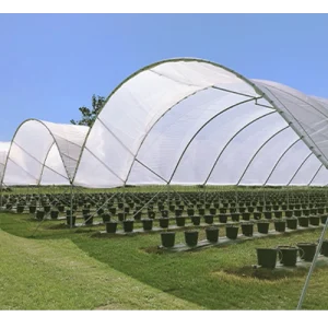 5.5m Wide x 75m long - GROCover Tunnel 180um Greenhouse Film 65% DIF Anti-Dust/UV Closed/Anti-Virus